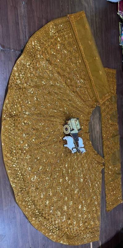 Butterfly Net Sequence Work Lehenga Choli Set